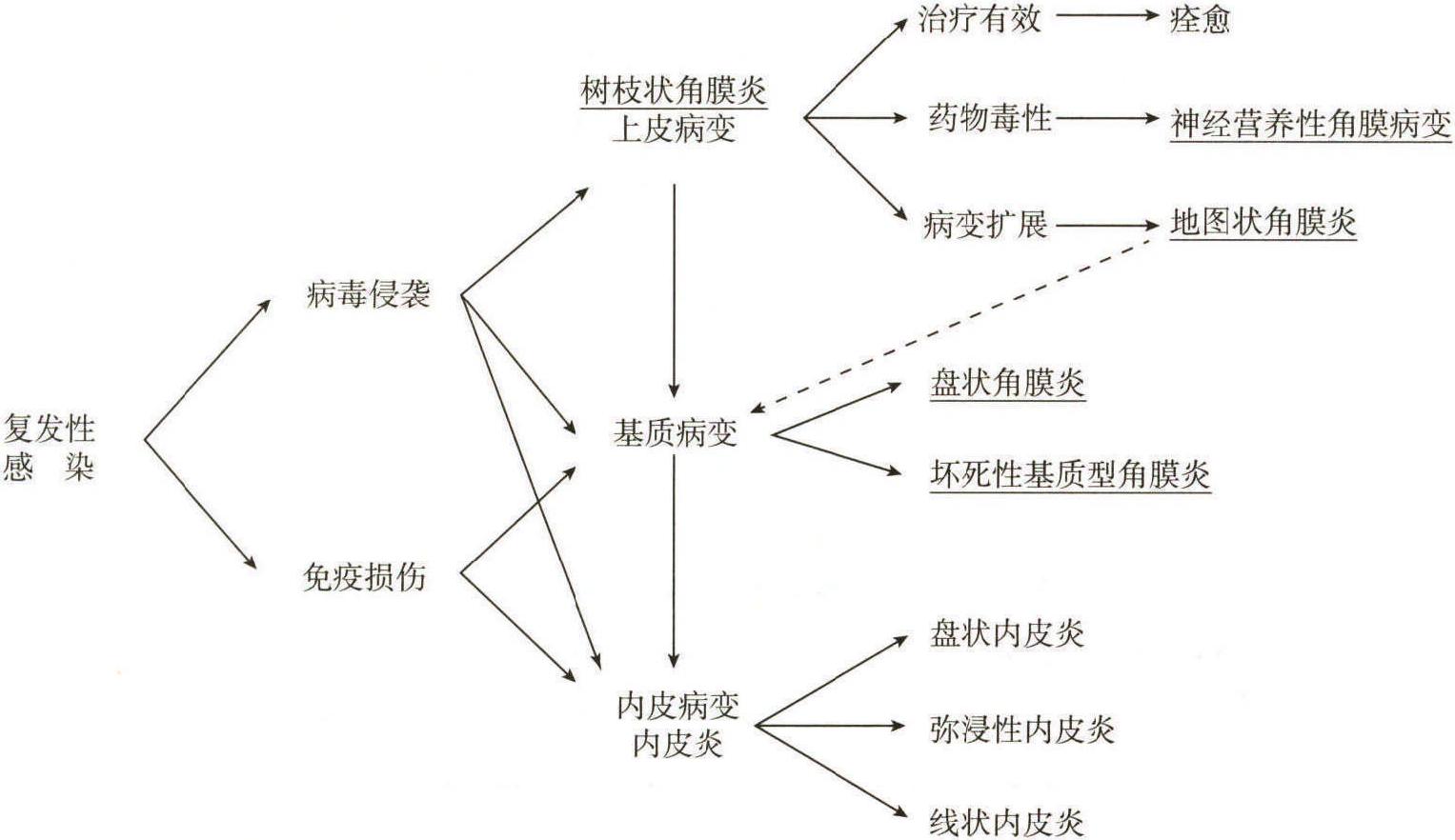 第五節(jié) 單純皰疹病毒性角膜炎